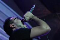 Macrônica