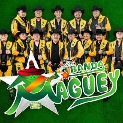 Foto de Banda Maguey