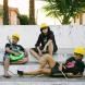 Macacos Em Greve