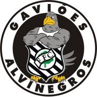 Samba Gaviões Alvinegros - 30 Anos