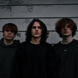 Foto de Indigo Zebras