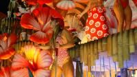 Samba Enredo 2002 - Asas de Um Sonho, Viajando Com o Salgueiro, o Orgulho de Ser Brasileiro