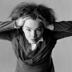Foto de Björk