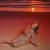 Belinda Carlisle