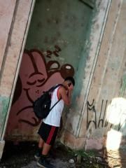 desordem e regresso