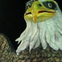 Foto de Acadêmicos de São Francisco