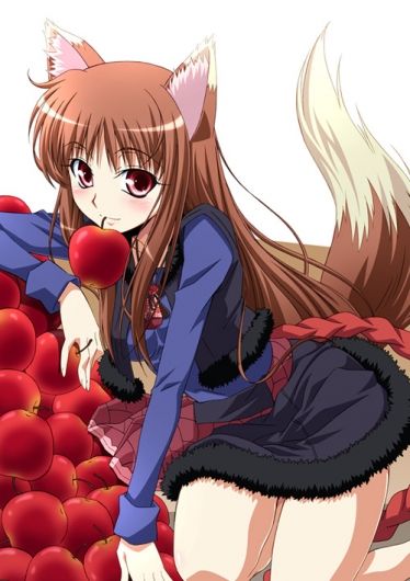 Spice And Wolf (anime)