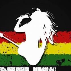 Foto de Banda Reflita