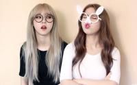 Honey Bee (Solar, Hani & Luna)