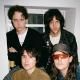 Beach Fossils
