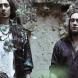 Alcest