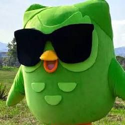 Foto de Duolingo