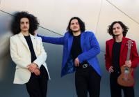RoneyBoys