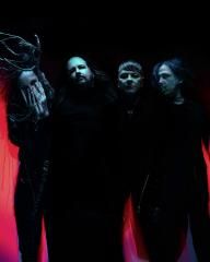 Rotting In Vain