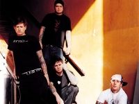 Box Car Racer