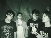 When Flowers Touch Us They Make Me Fall in Love with Death (Home Demo)