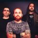 Fishead