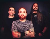 Fishead