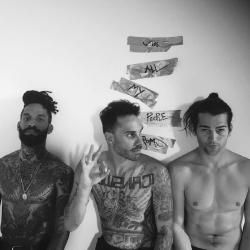 Photo of FEVER 333