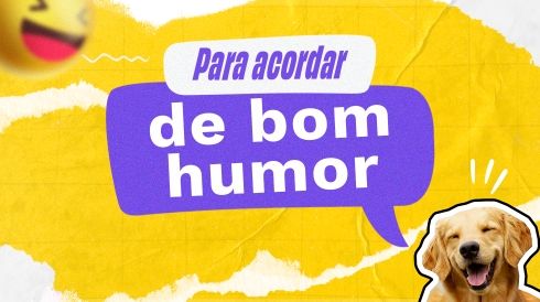 Para acordar de bom humor